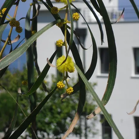 Bed and Breakfast Oltremare Rent *